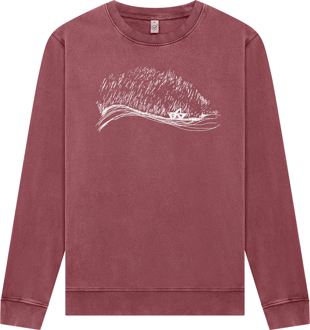 Stormy Weather Stoned Washed Unisex Sweatshirt