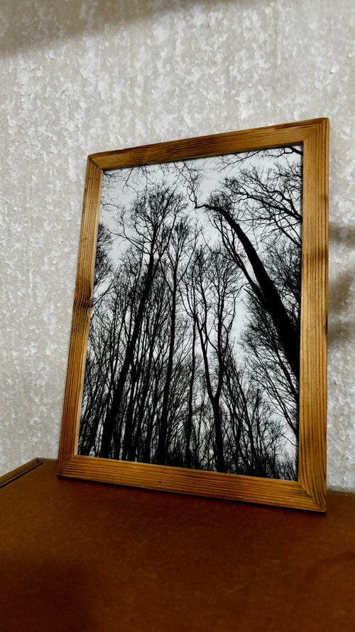 Forest – Kunstdruck DIN A4