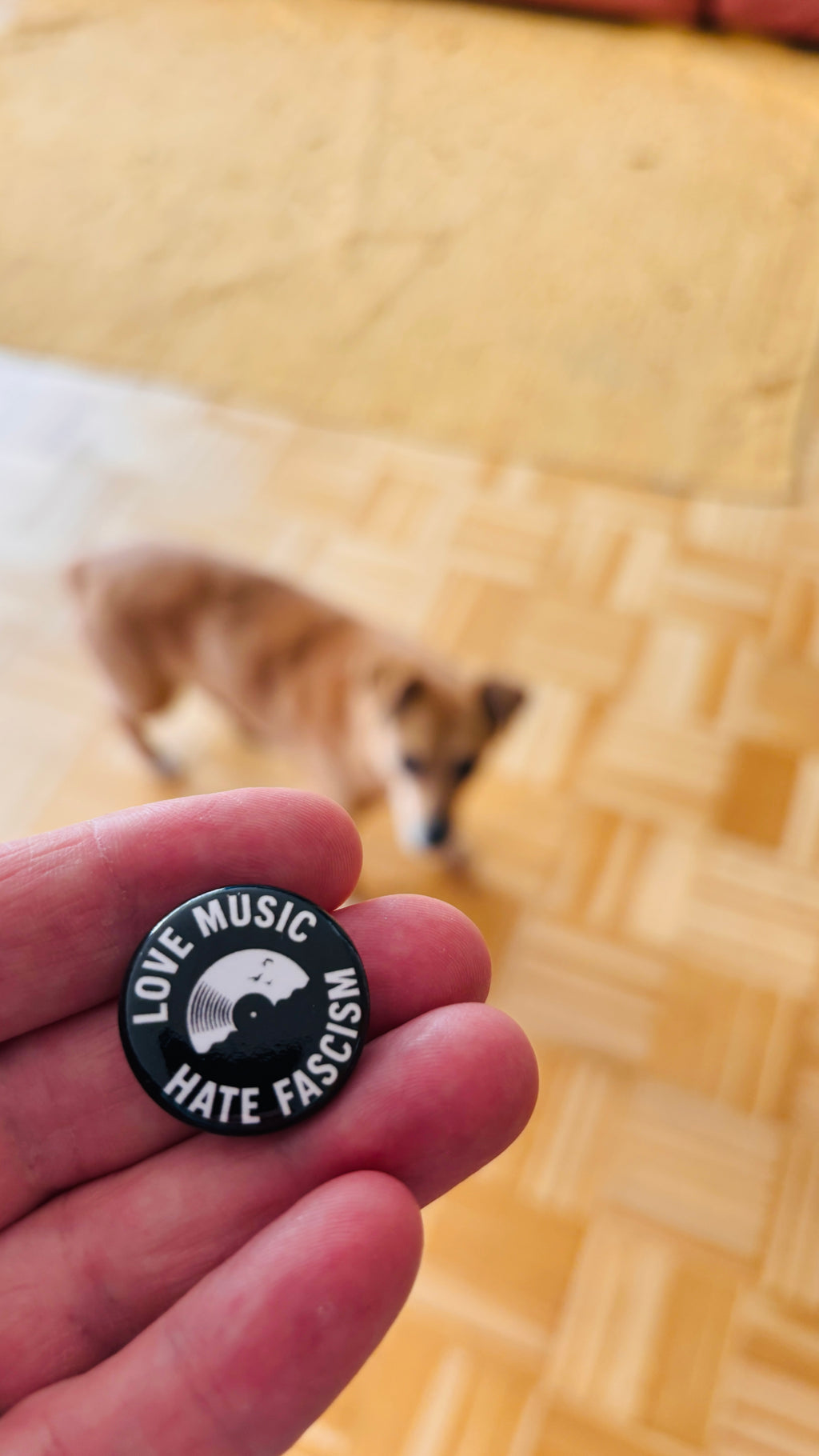 Love Music - Hate Fascism - Schallplatte Button 25 mm – Pin / Anstecker