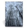 Postkarte „Forest“ – fotografische Waldsilhouette | Minimalistisches Naturmotiv | 350 g Offsetpapier DIN A6