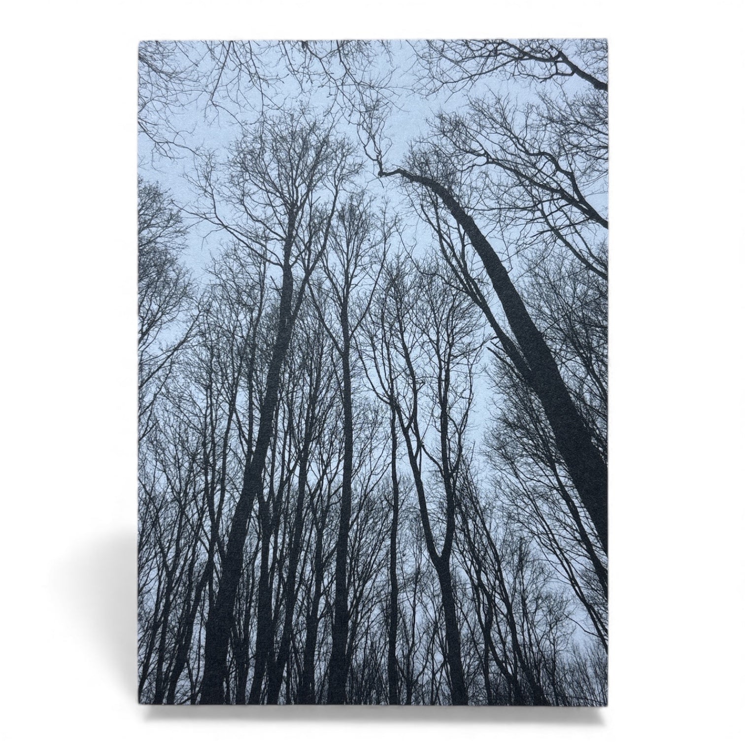 Postkarte „Forest“ – fotografische Waldsilhouette | Minimalistisches Naturmotiv | 350 g Offsetpapier DIN A6