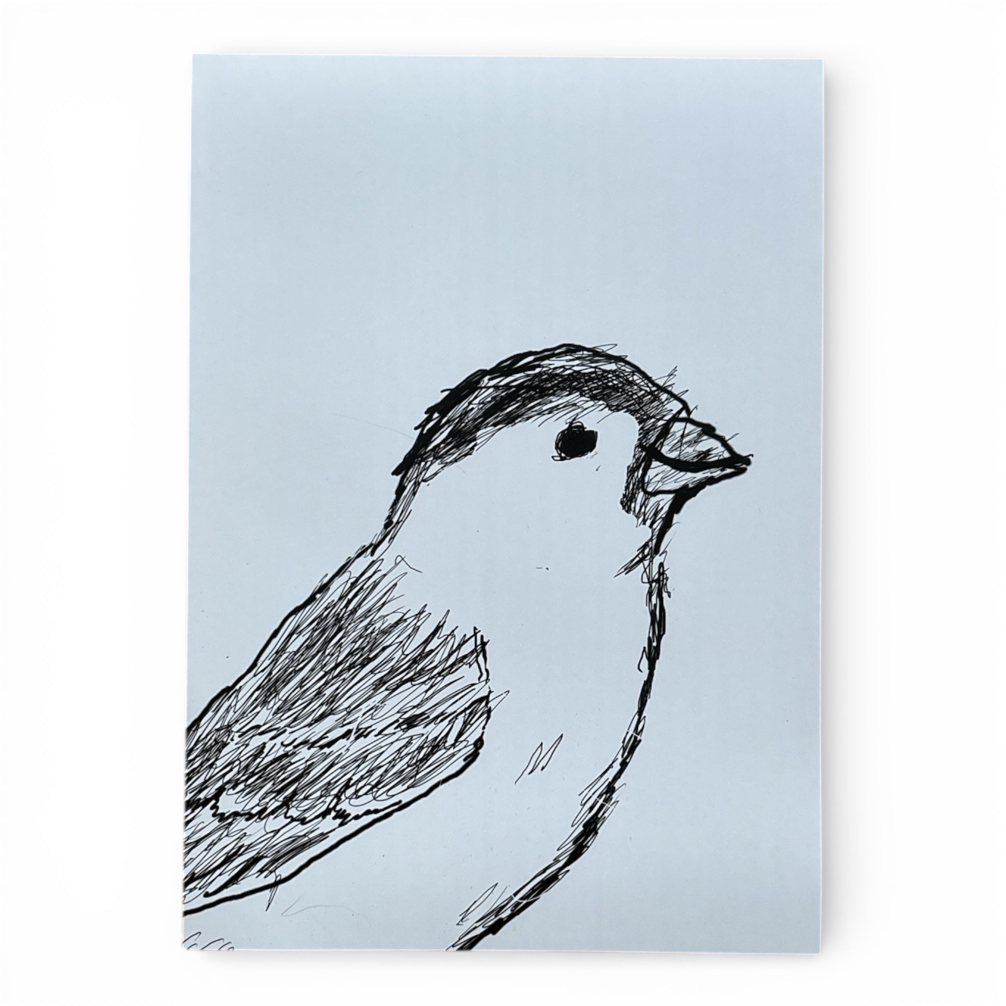 Spatz A4 Kunstdruck