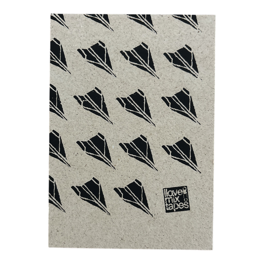 Papierflieger Postkarte Mini Artpint aus Graspapier