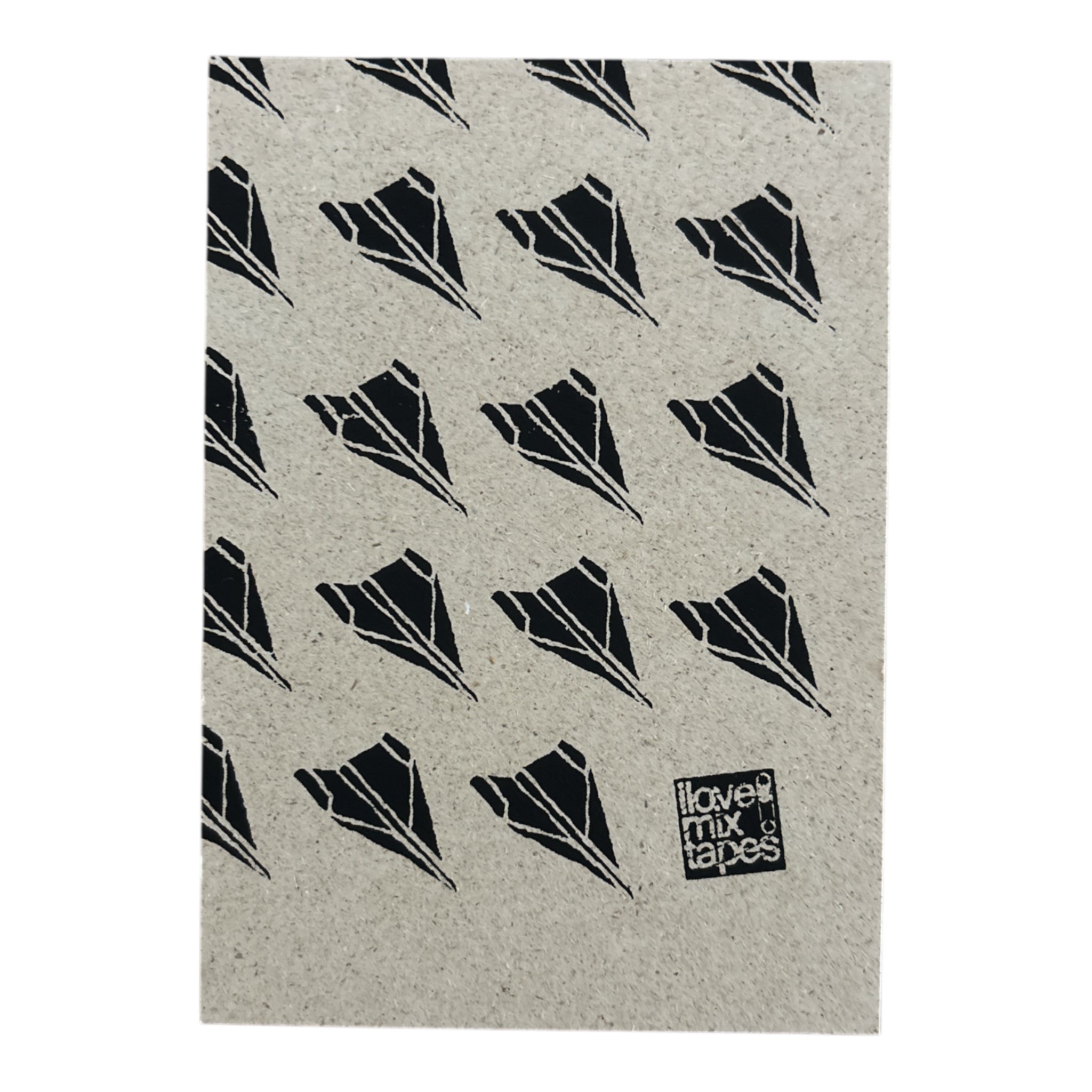 Papierflieger Postkarte Mini Artpint aus Graspapier