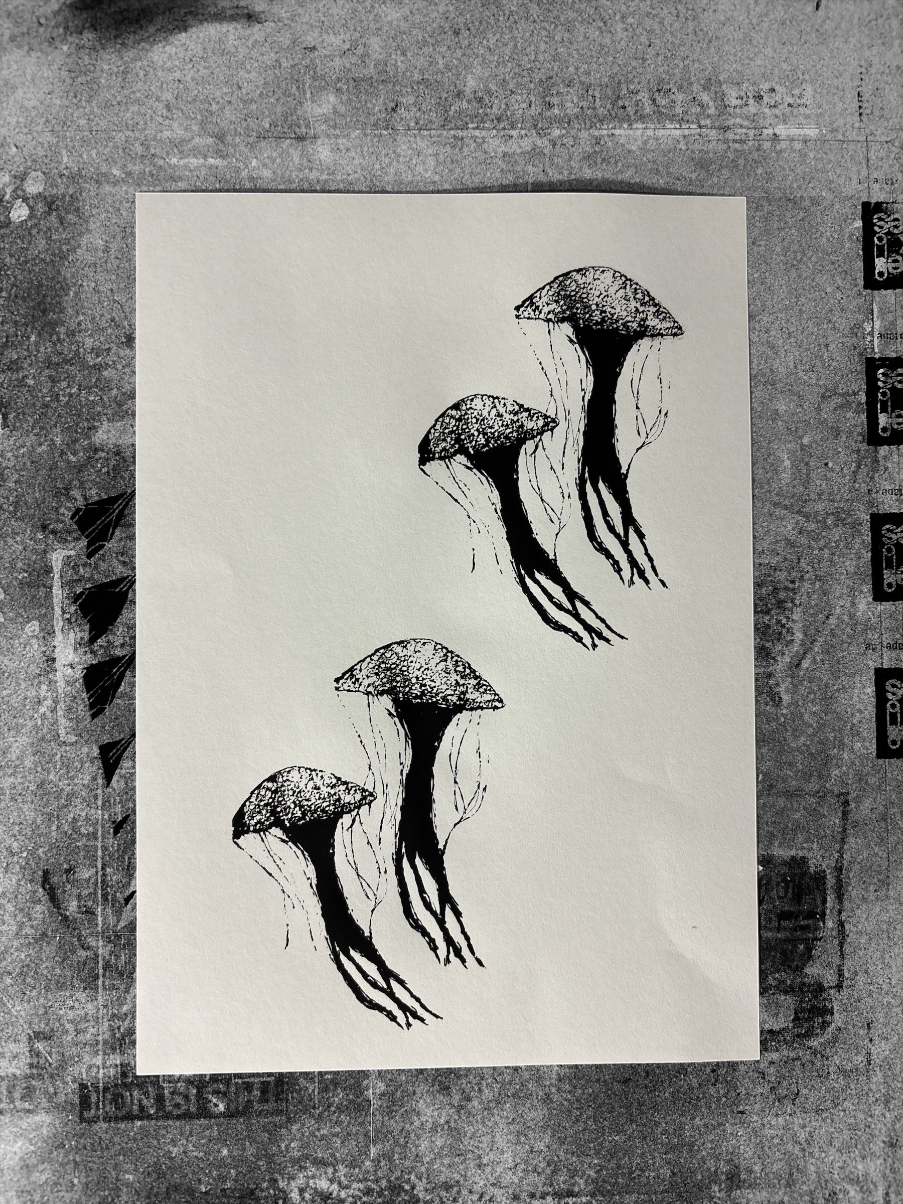 Quallen A4 Siebdruck Artprint Poster Kunstdruck