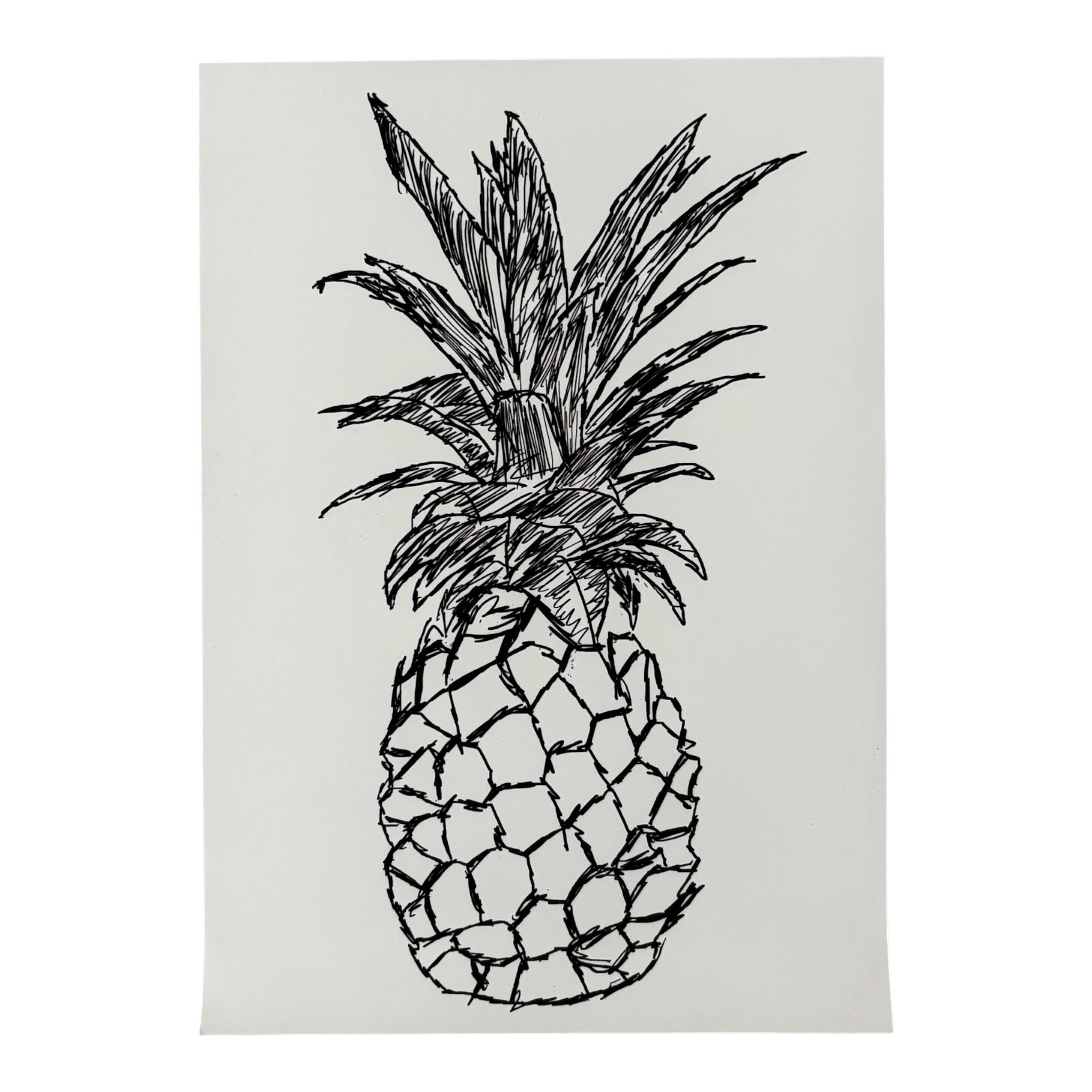 Ananas A4 Kunstdruck