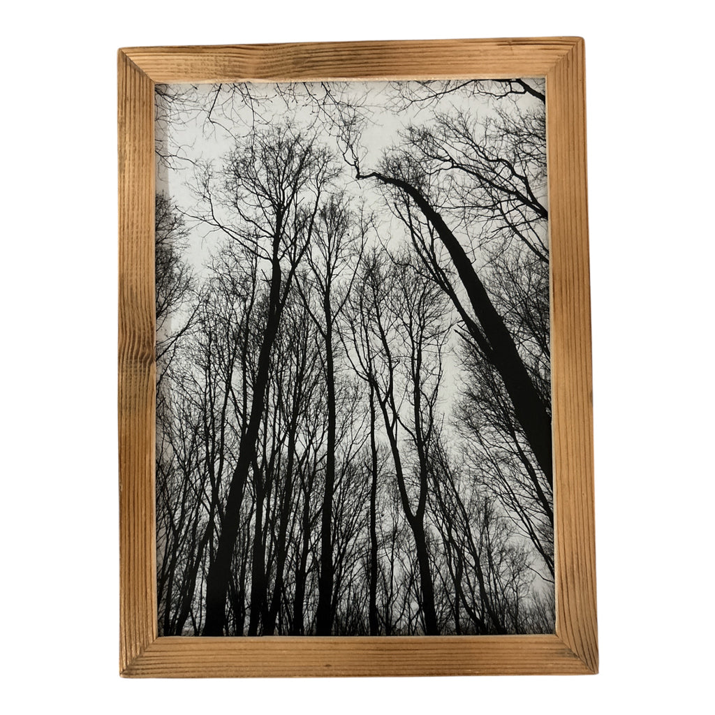 Forest – Kunstdruck DIN A4