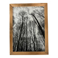 Forest – Kunstdruck DIN A4