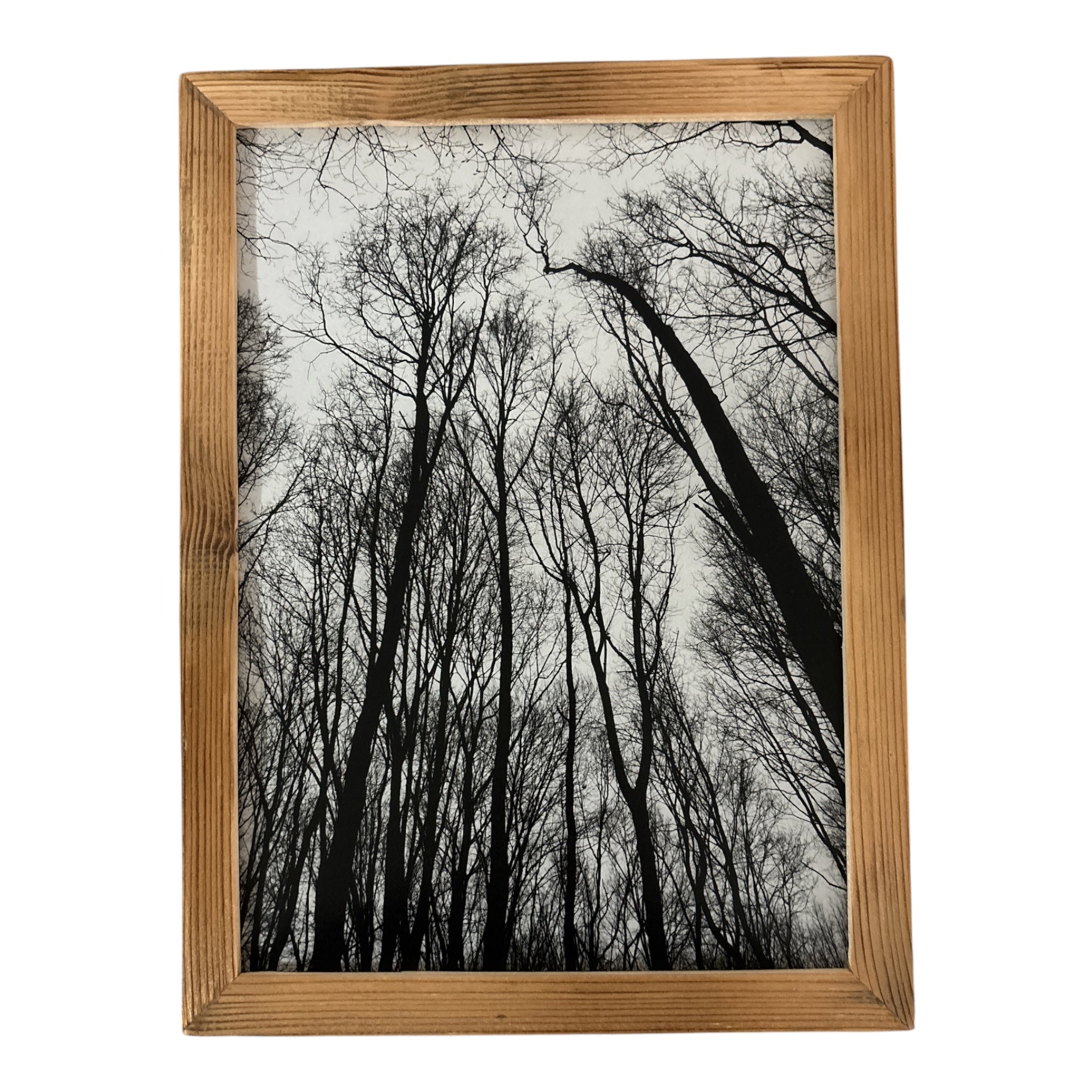 Forest – Kunstdruck DIN A4